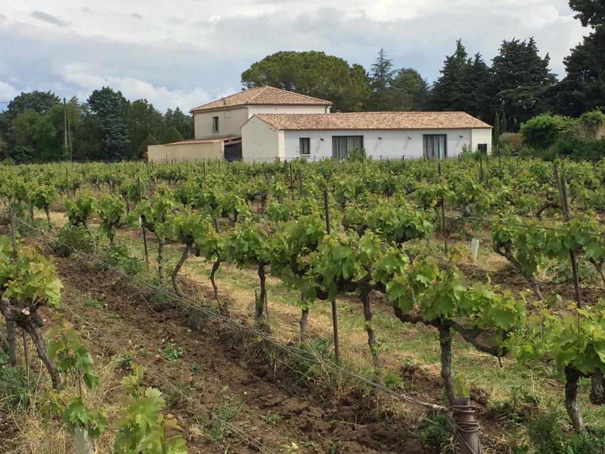 Maison Spa Piscine D'Alessia LʼIsle-sur-la-Sorgue Eksteriør billede